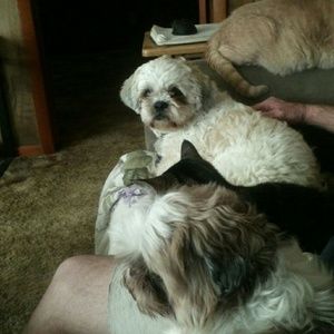 Meet your Posher, Debbie